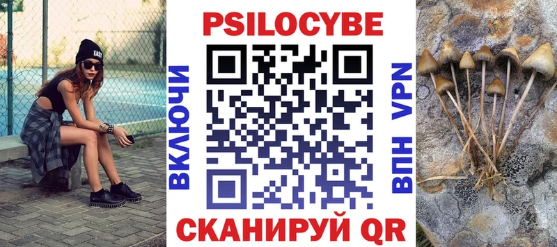 купить наркотики сайты  Йошкар-Ола  Галлюциногенные грибы Magic Shrooms 