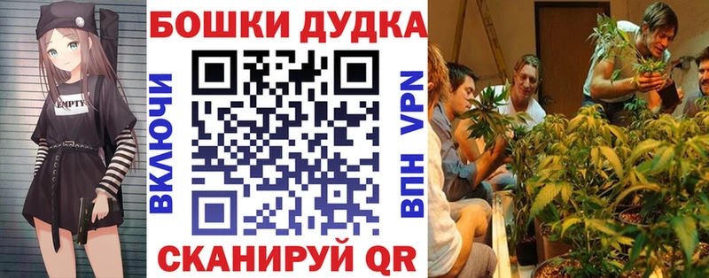 Канабис план Йошкар-Ола
